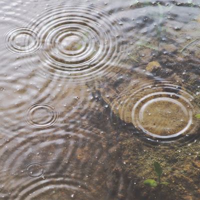 Regndråber laver ringe i vandet