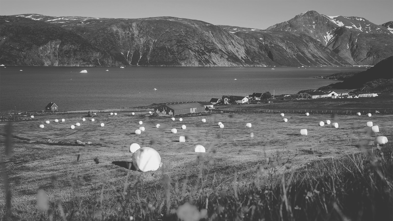 En grøn mark som ligger ud til vand og bjerge i baggrunden.